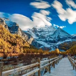 日本亚洲欧洲色
